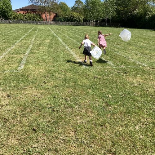 Summer Term Learning